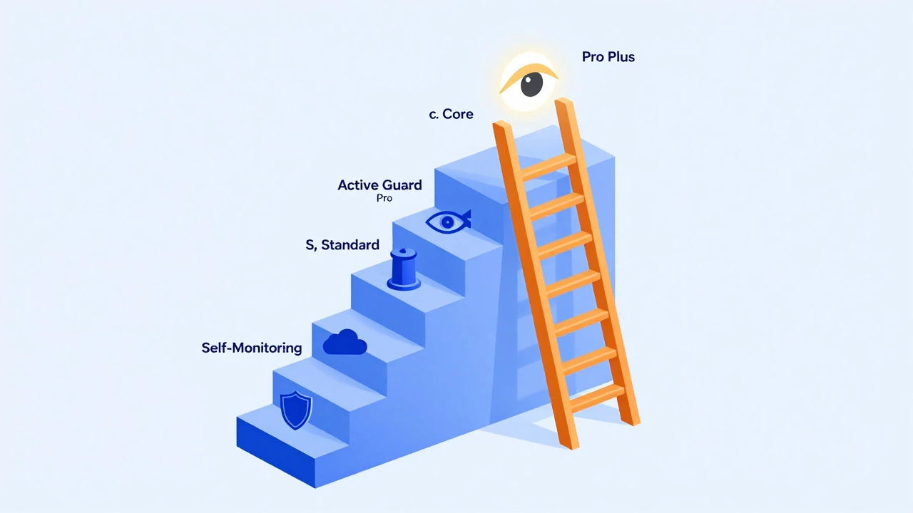 Illustration of tiered security plan levels with icons for features